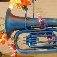 Tuba with Flowers by Michael Coghlan