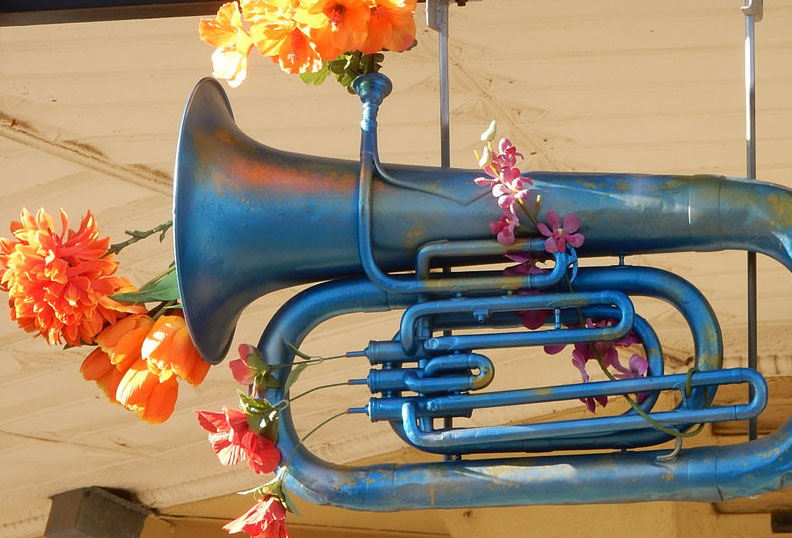 Tuba with Flowers by Michael Coghlan
